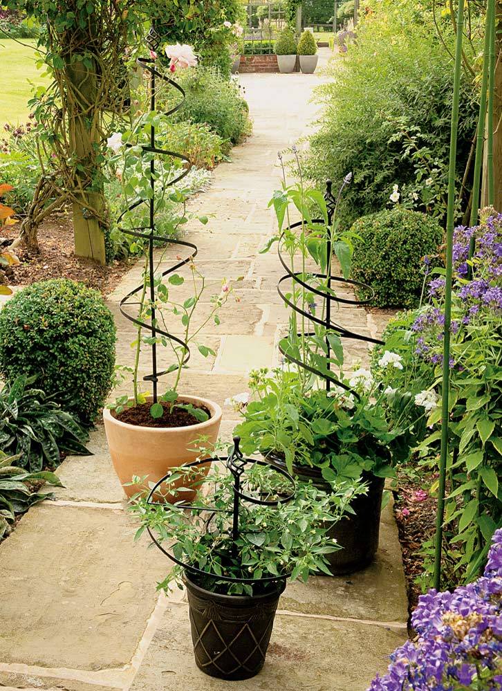 Stylish Fruit Cages