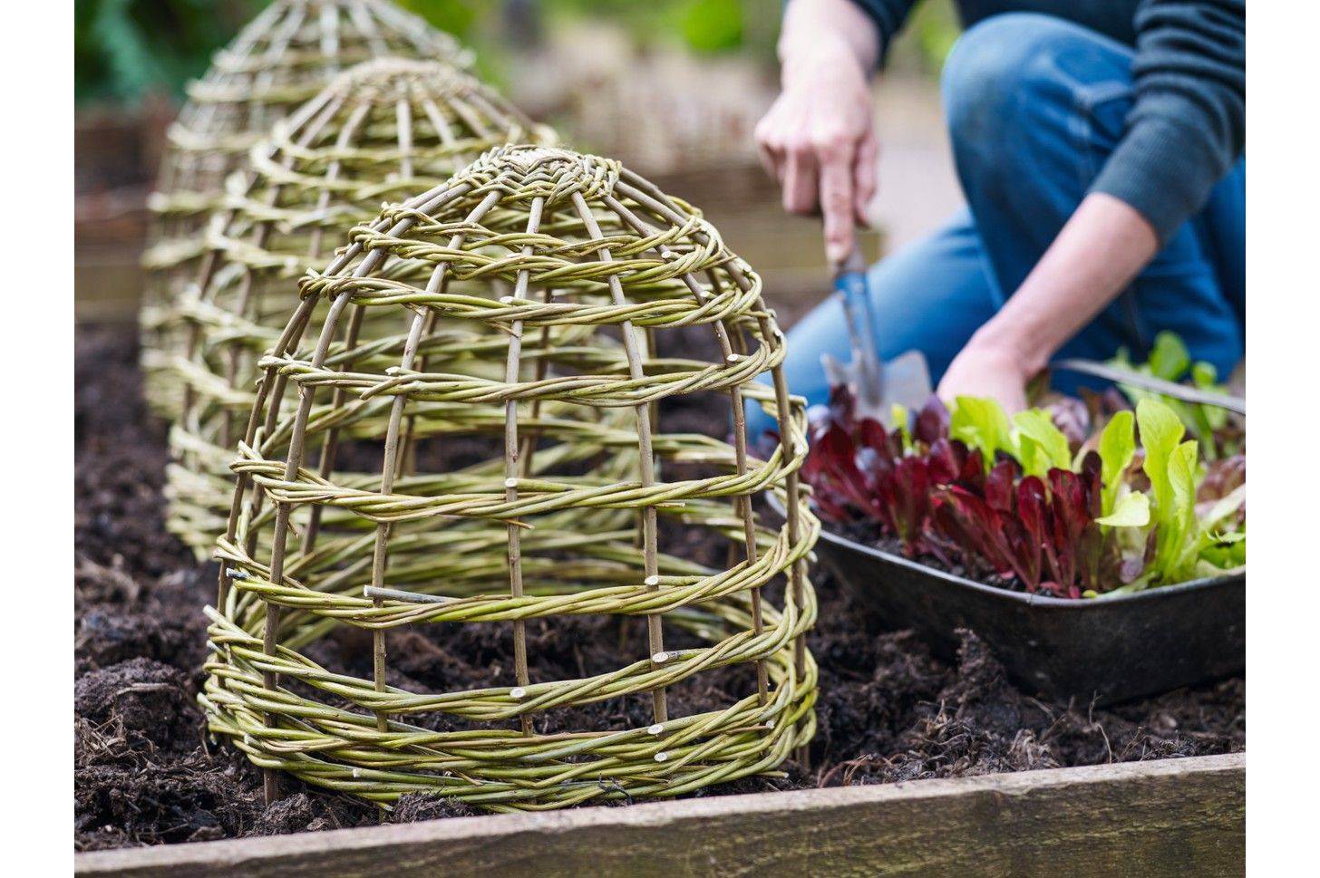 Garden Plant Support Tunnels Metal