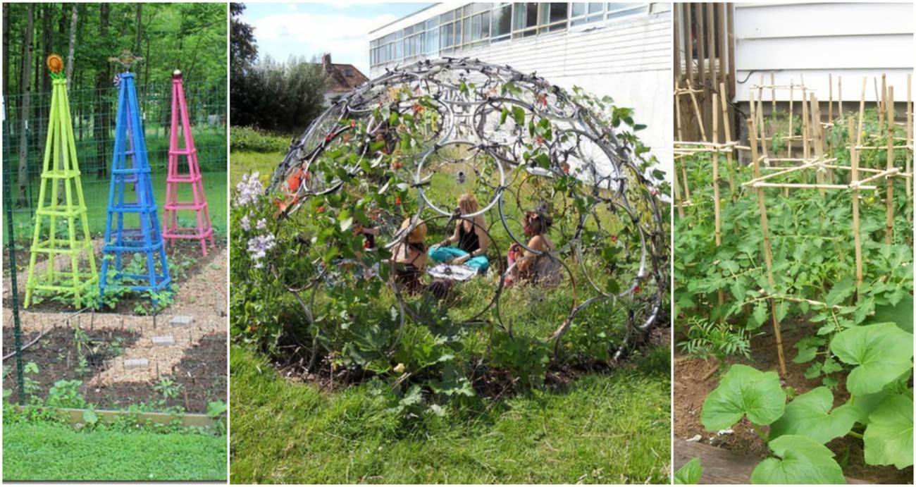 Garden Plant Support Tunnels Metal