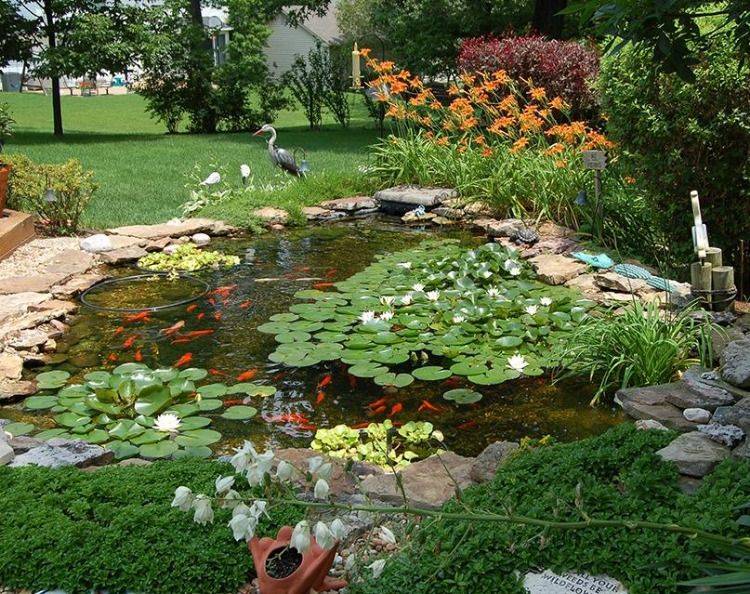 Decoomo Trends Home Decoration Ideas Ponds