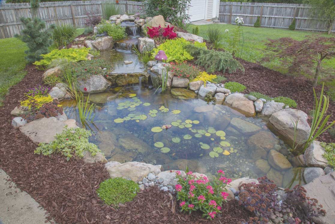 Small Goldfish Patio Pond Backyard Ideas