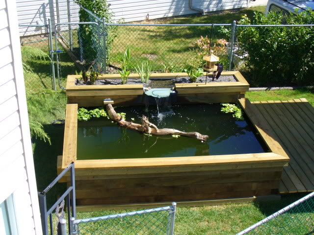 Pin On Ponds
