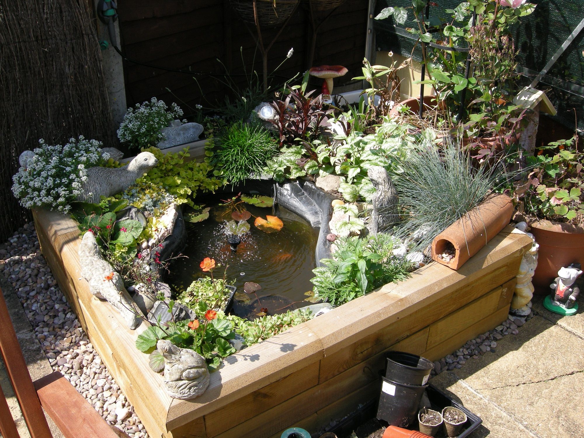 Wooden Raised Bed Pond Kits Harrod Horticultural