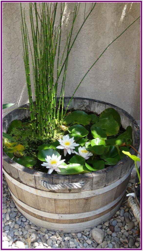Great Charming Diy Mini Ponds