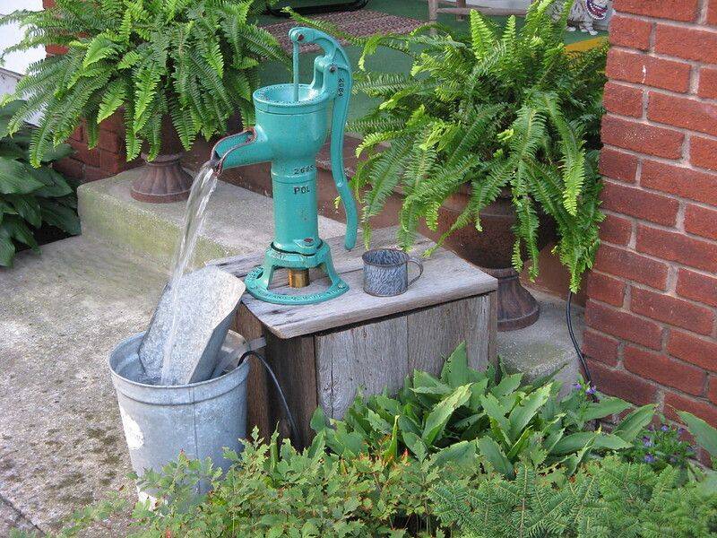 My Old Pump Water Garden