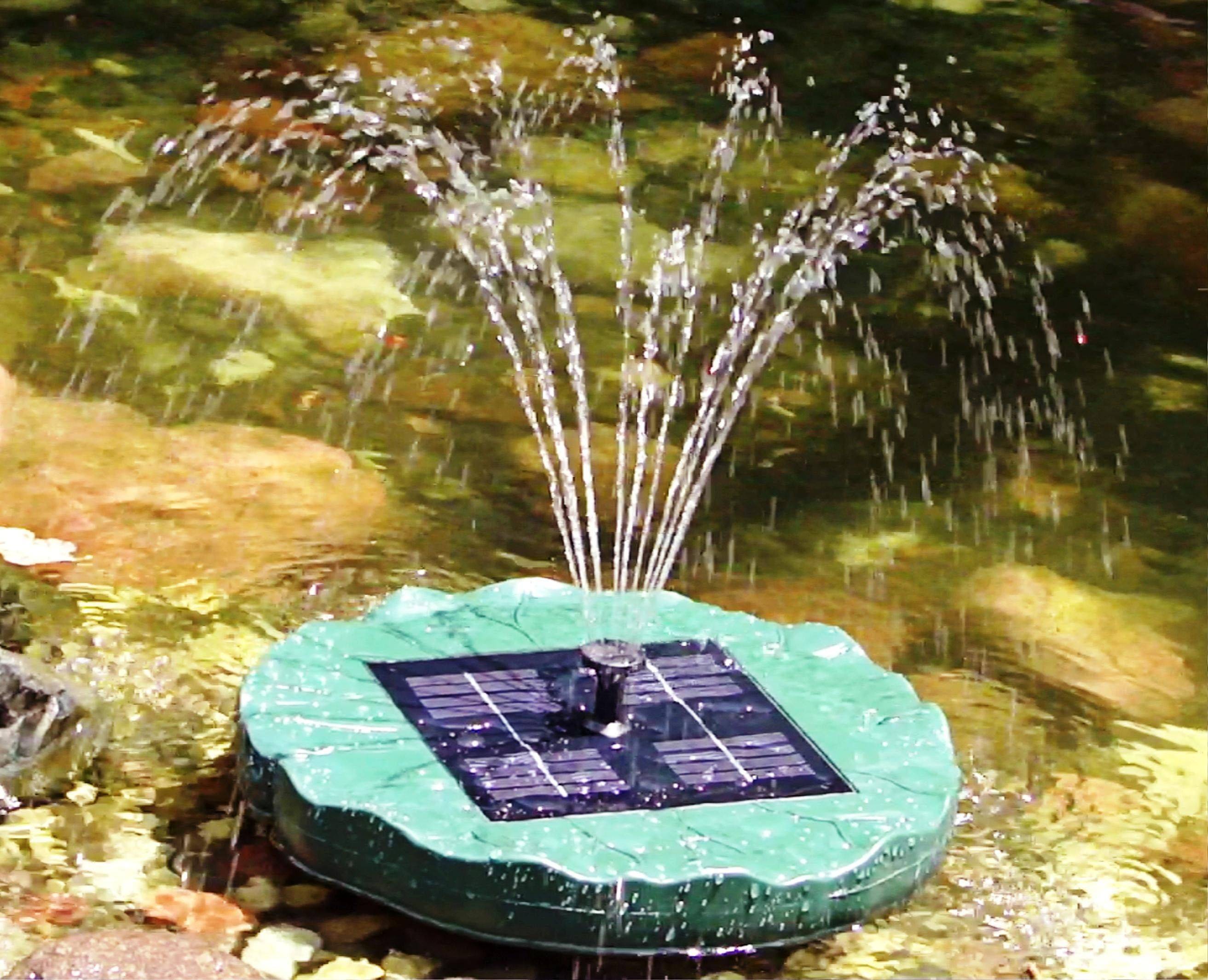 Solar Powered Water Fountain