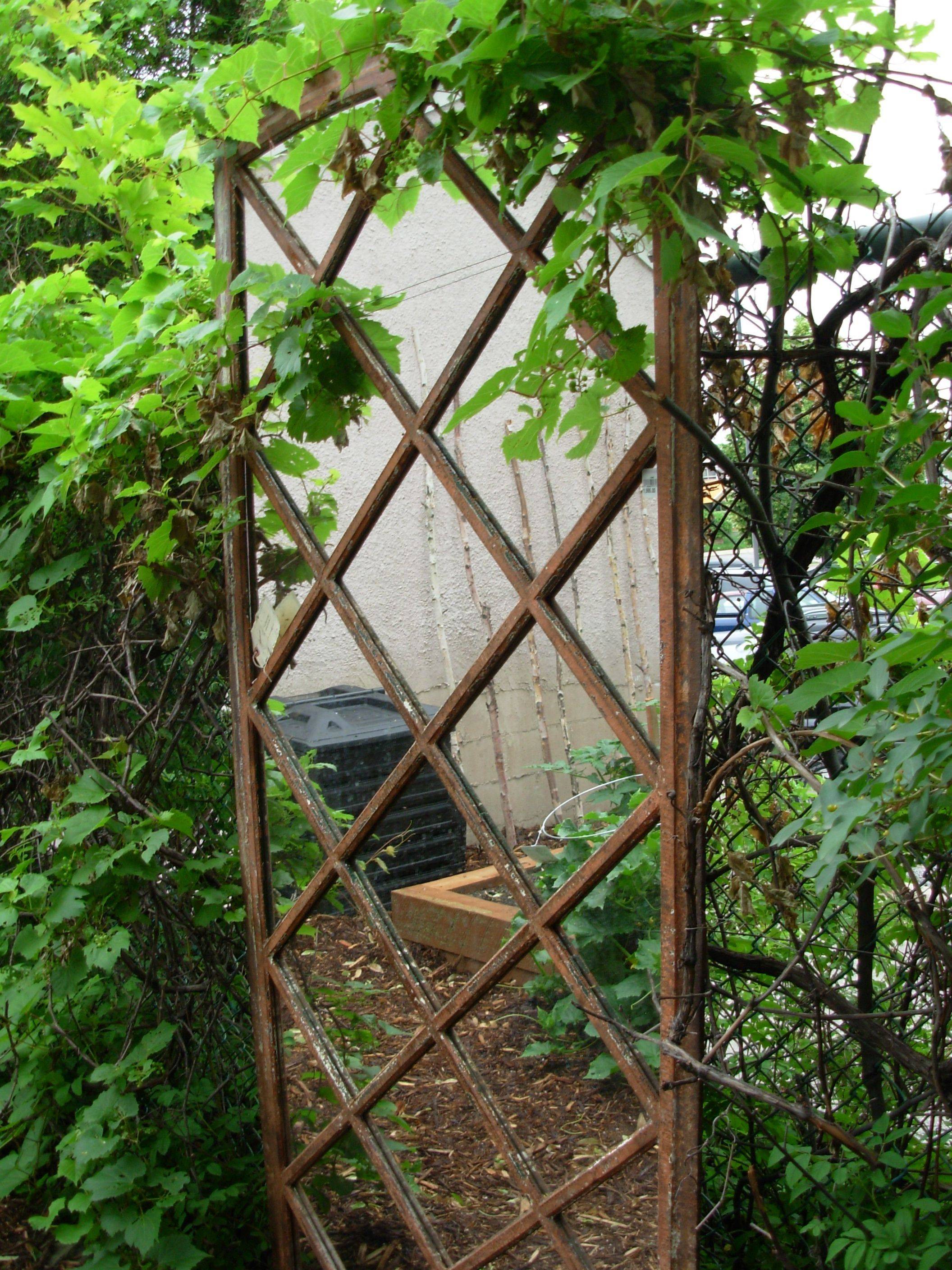 Wooden Illusion Garden Glass Mirror Gate Outdoor Large Perspective Door