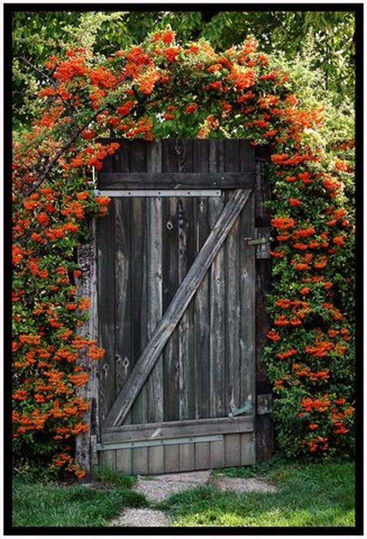 Inexpensive Secret Wooden Gates Ideas