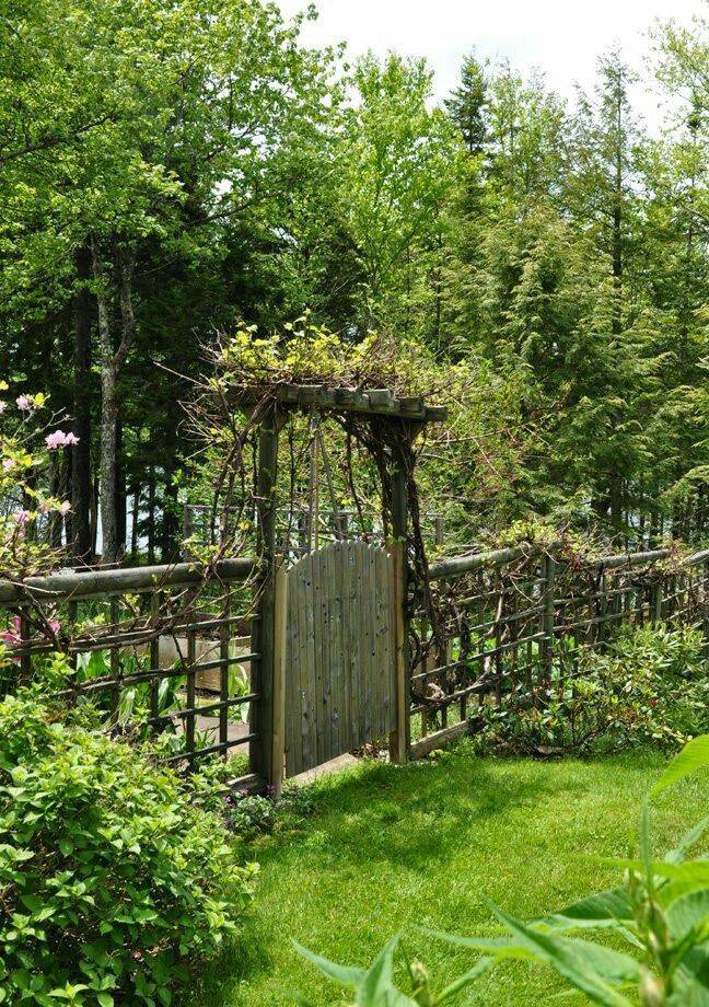 Gorgeous Diy Garden Gate Ideas