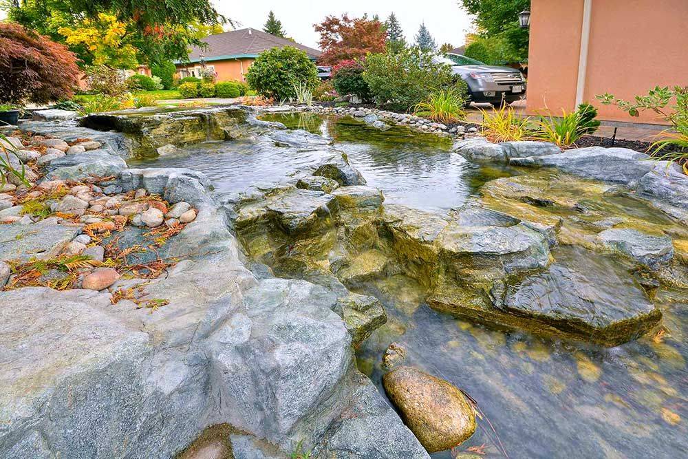 Awesome Aquascaping Ideas You Will Totally Love Page