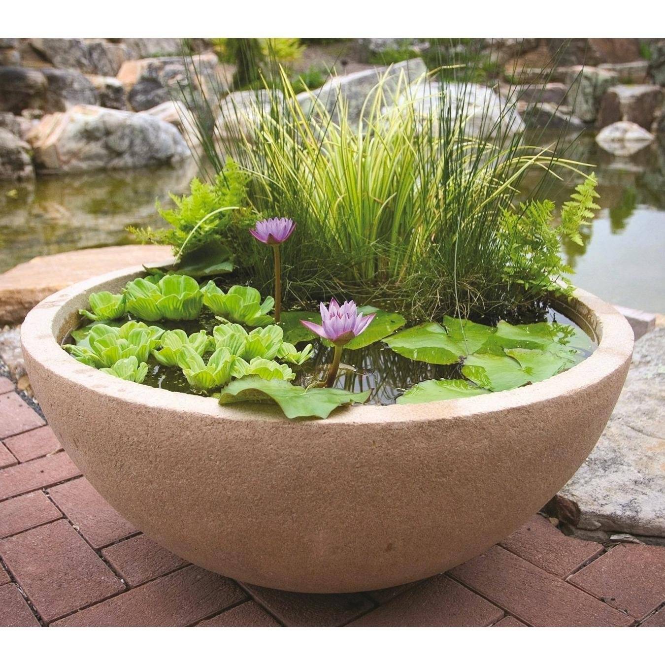 Fabulous Indoor Water Garden Ideas