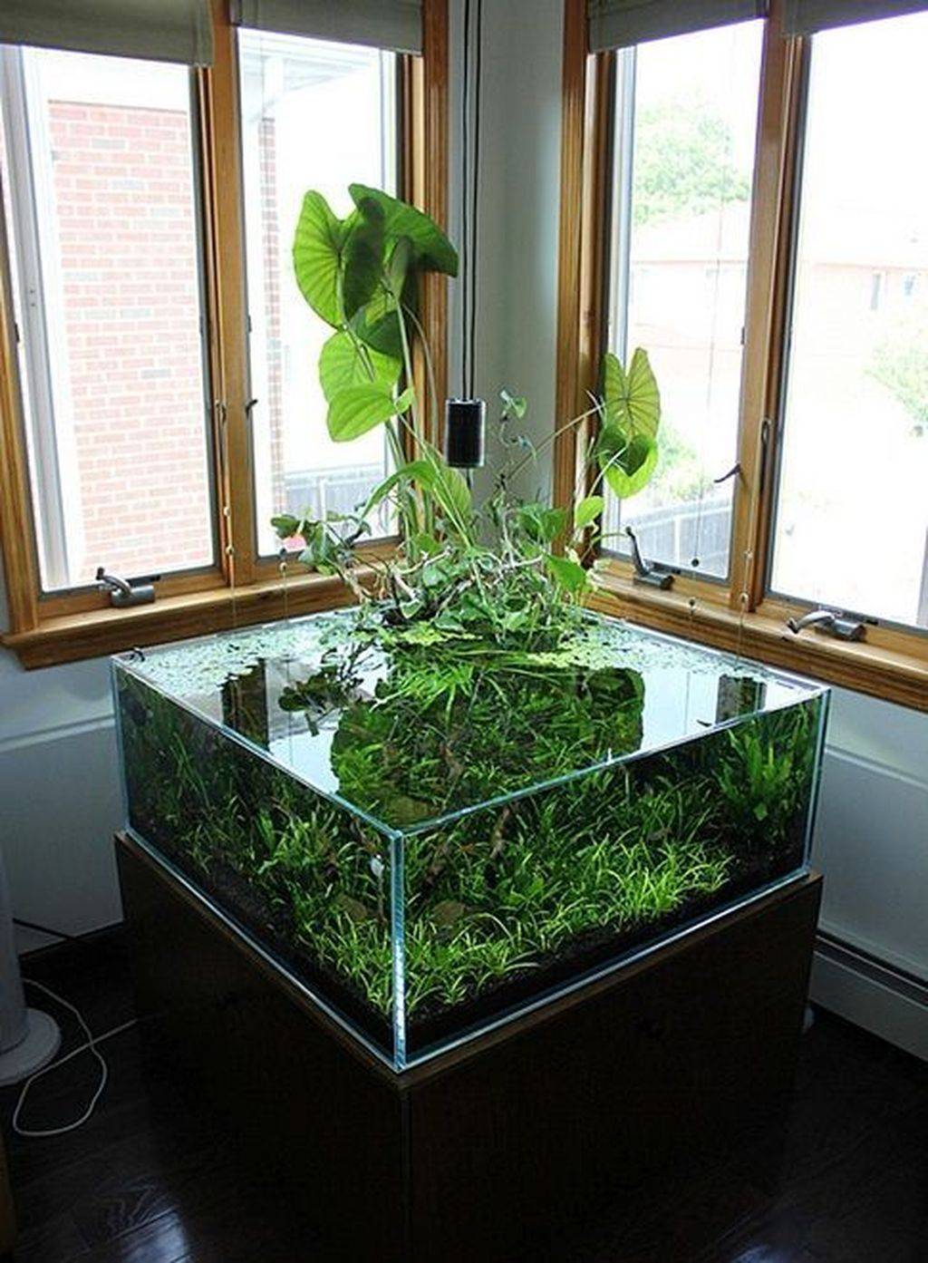 Fabulous Fish Pond Design Ideas