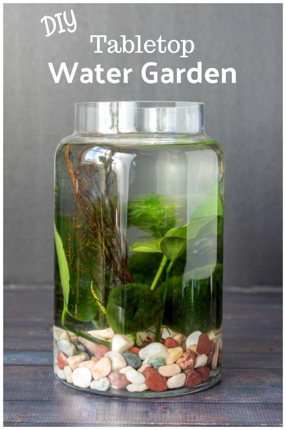 Aquatic Gardens