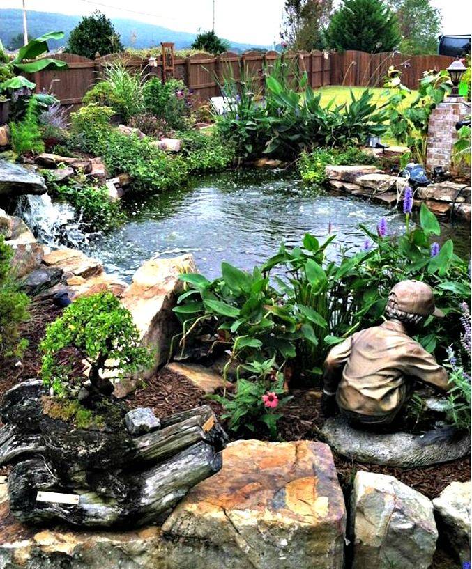 Backyard Aquaponics