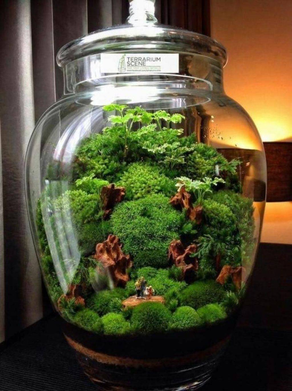 Indoor Water Garden