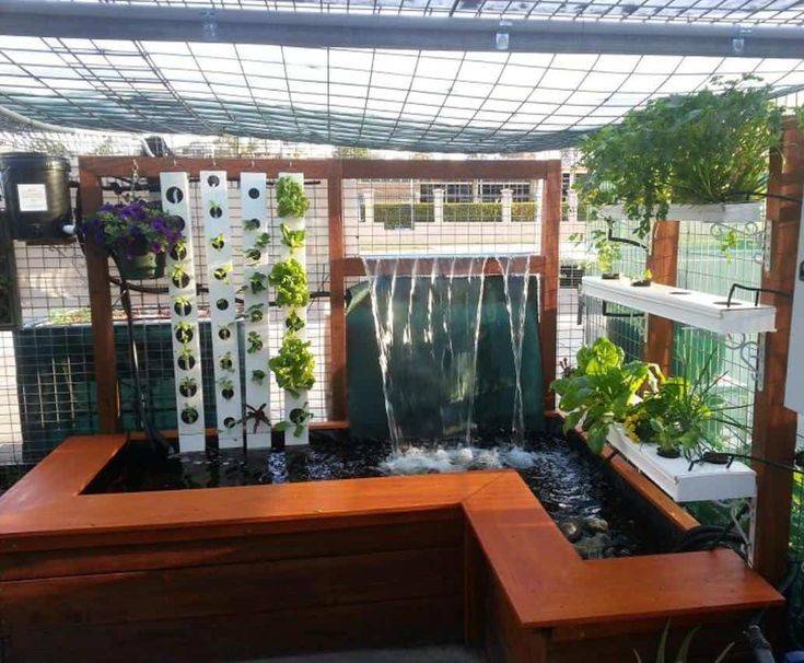 Indoor Water Garden