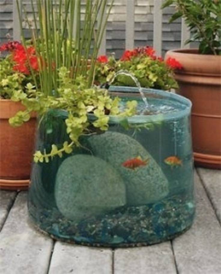 Koi Fish Pond