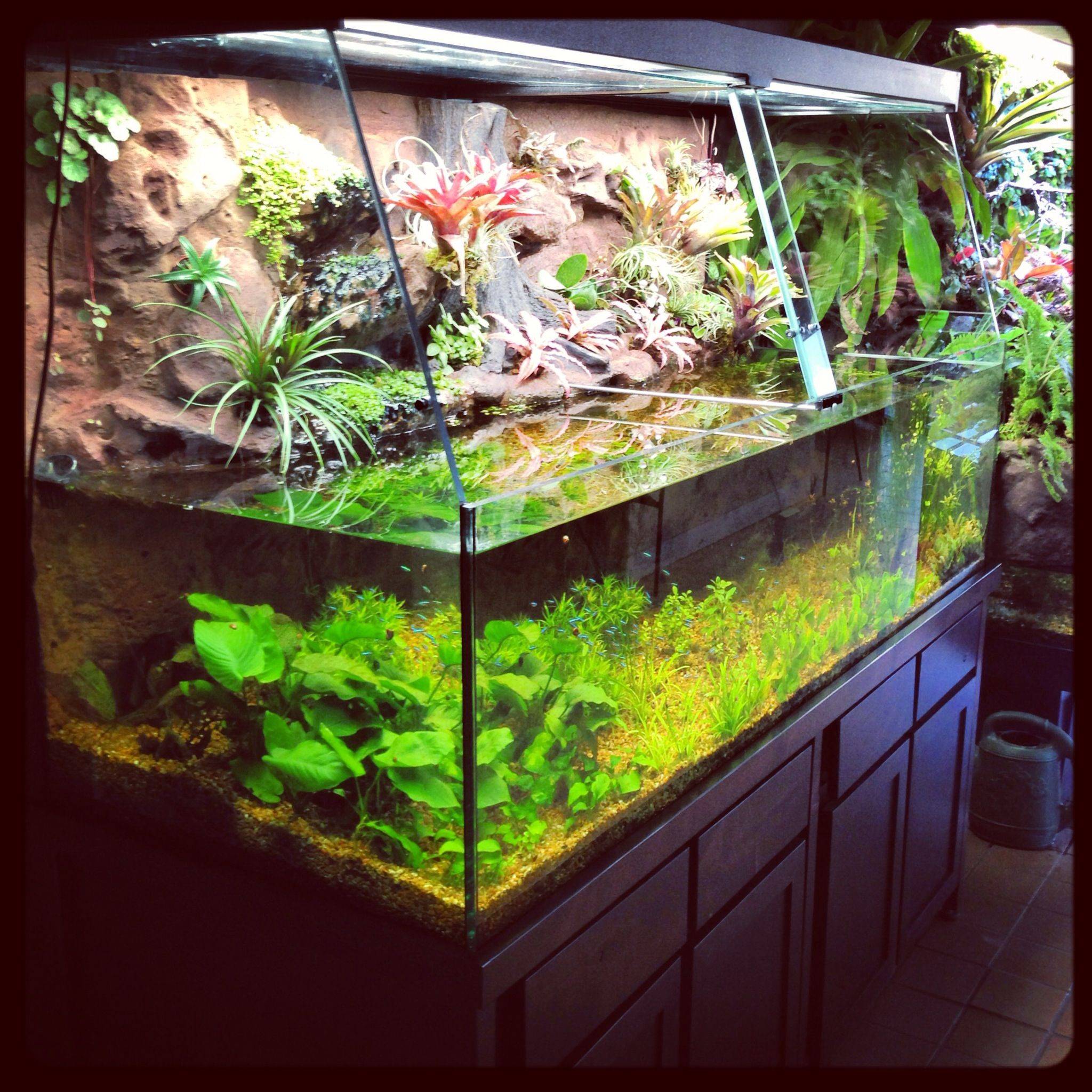 Top Garden Aquarium And Pond Ideas