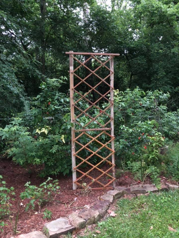 A Concrete Sidewalk Fence Design