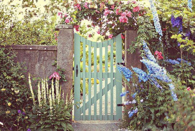 Backyard Garden Design