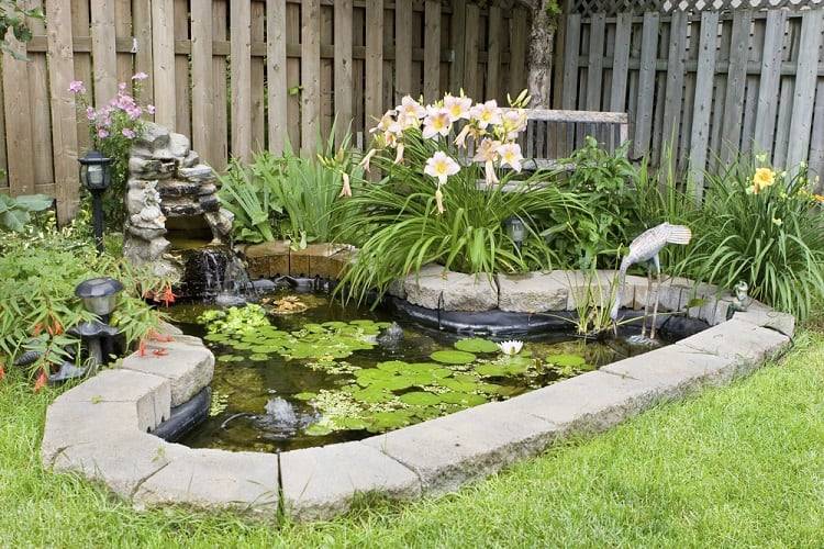 Minimalist Fish Pond Design Ideas