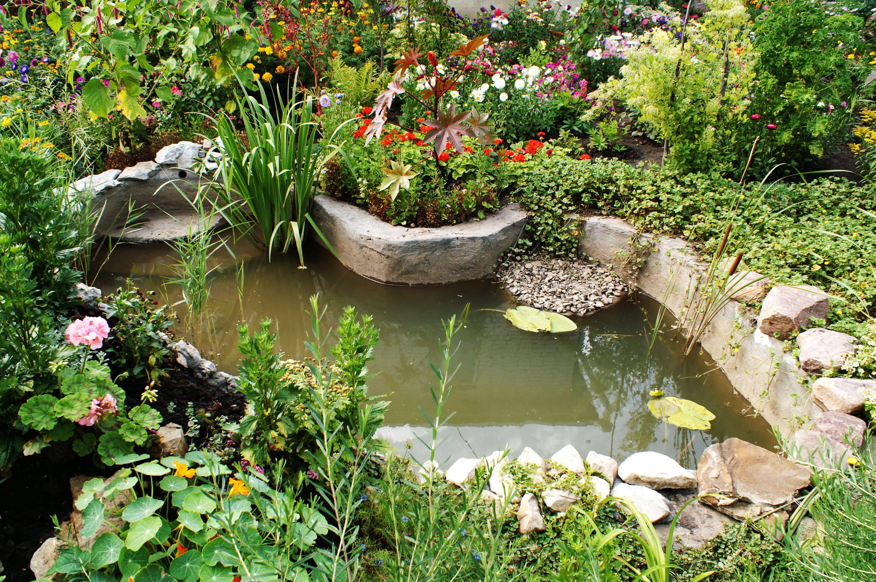 Great Backyard Pond Waterfall Ideas