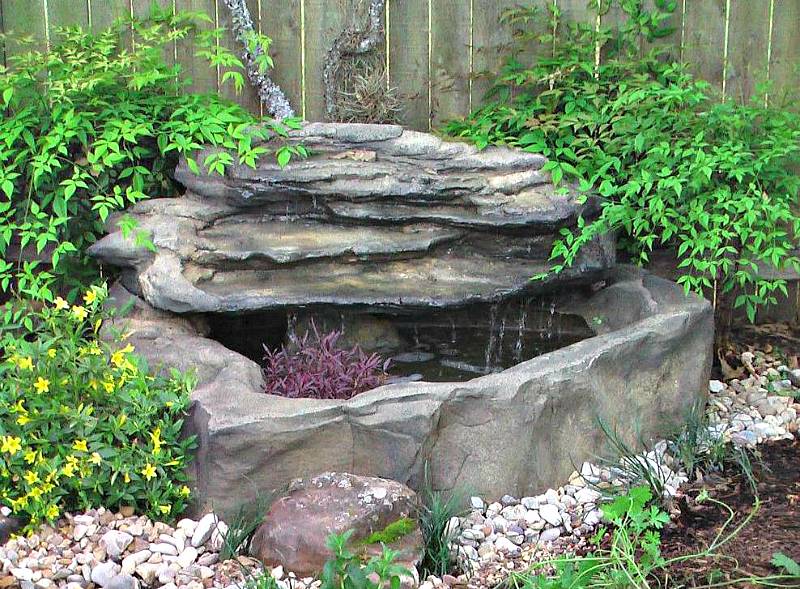 Goldfish Small Patio Pond Backyard