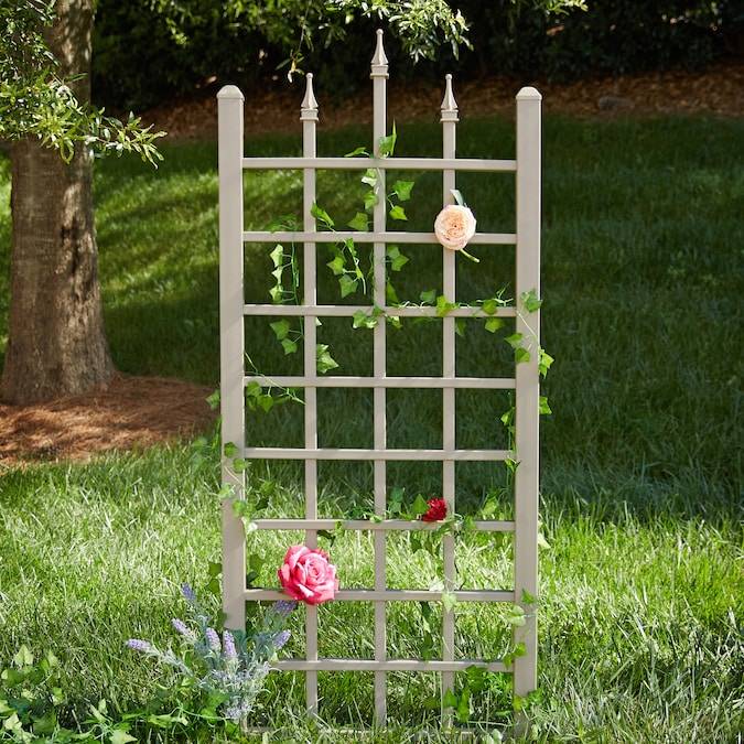 The Garden