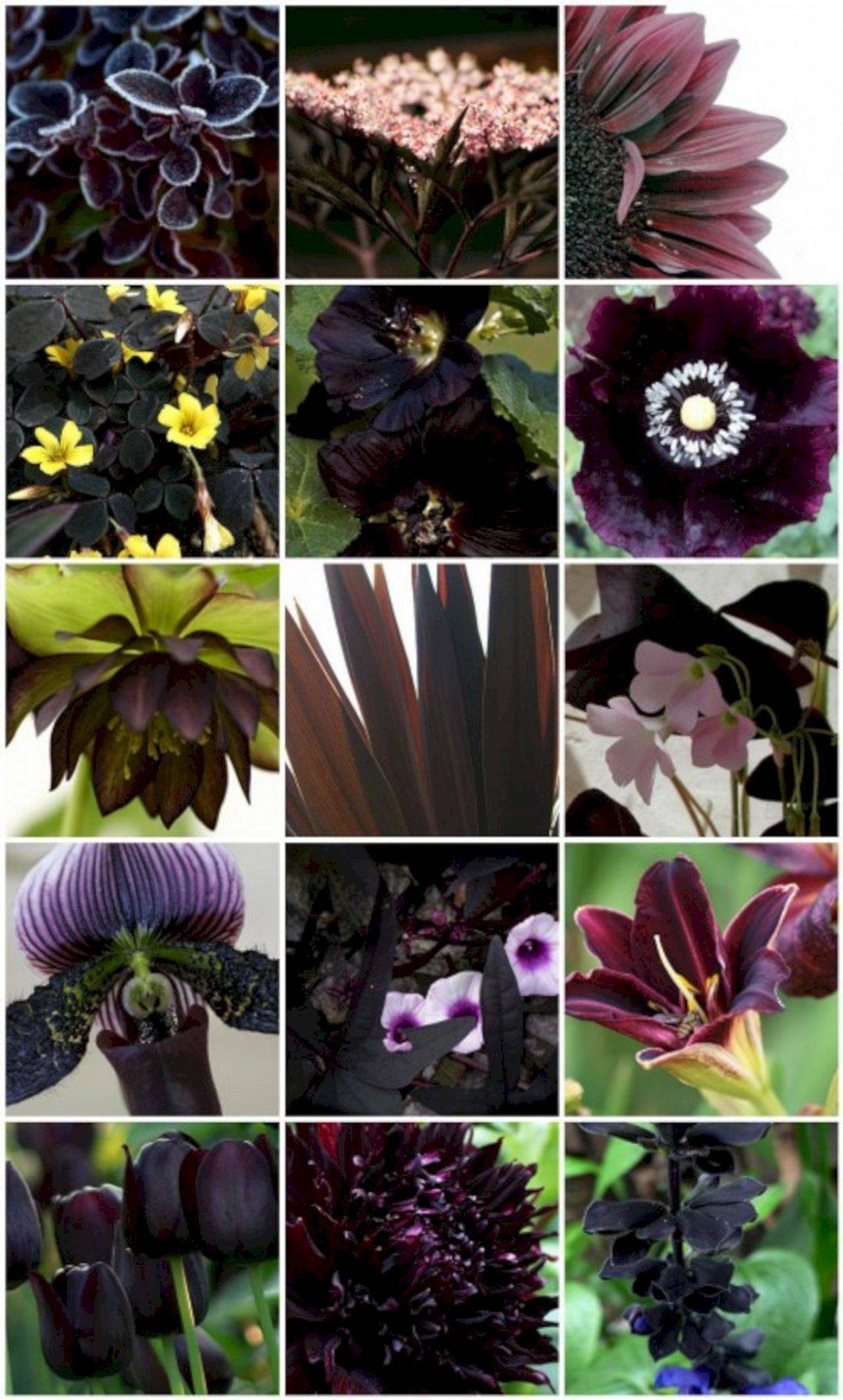 Gothic Garden Decor