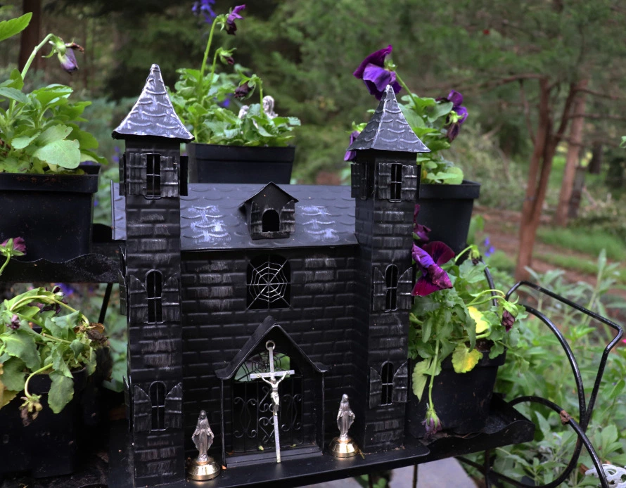 Pinterest Jardn