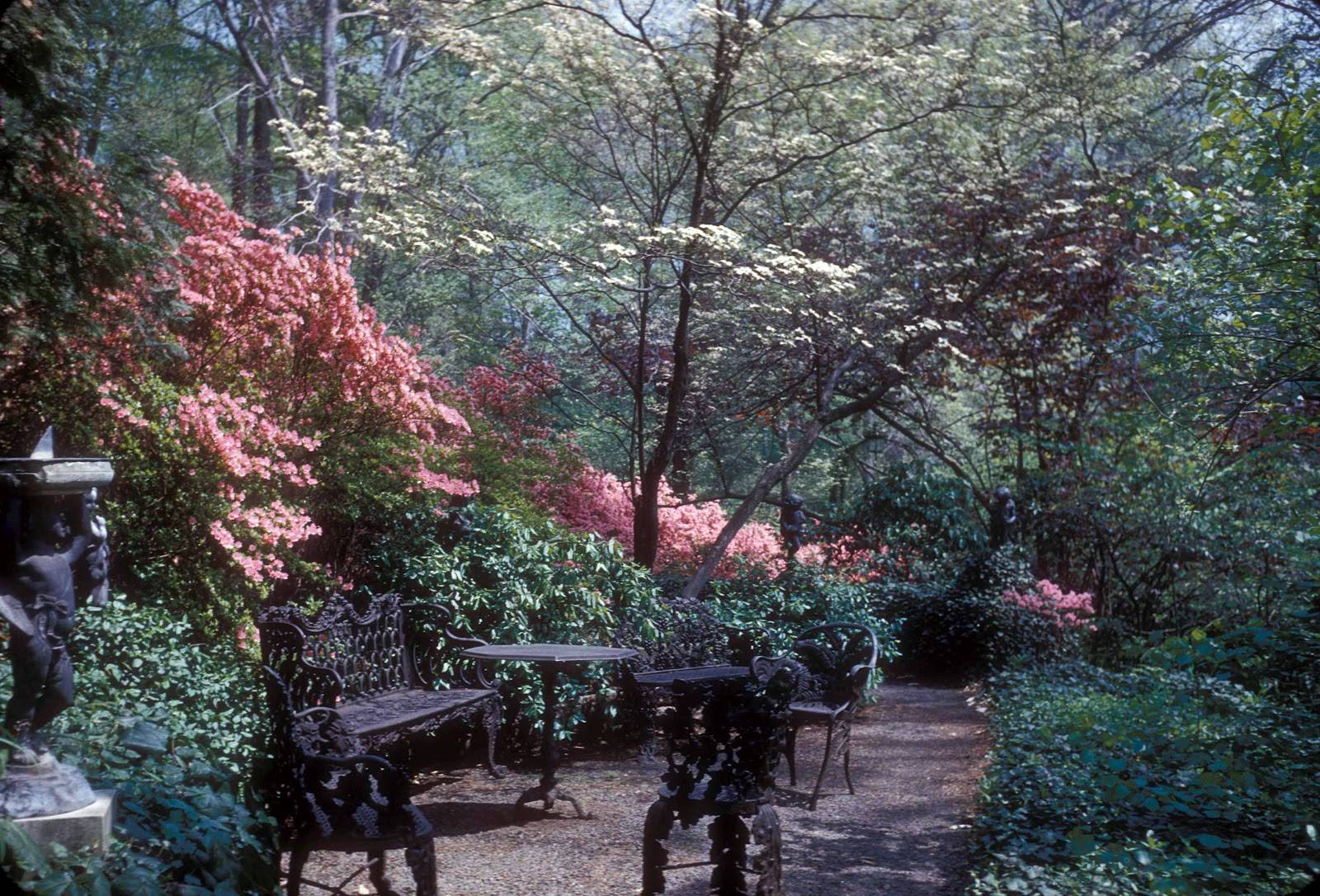Gothic Garden Wall