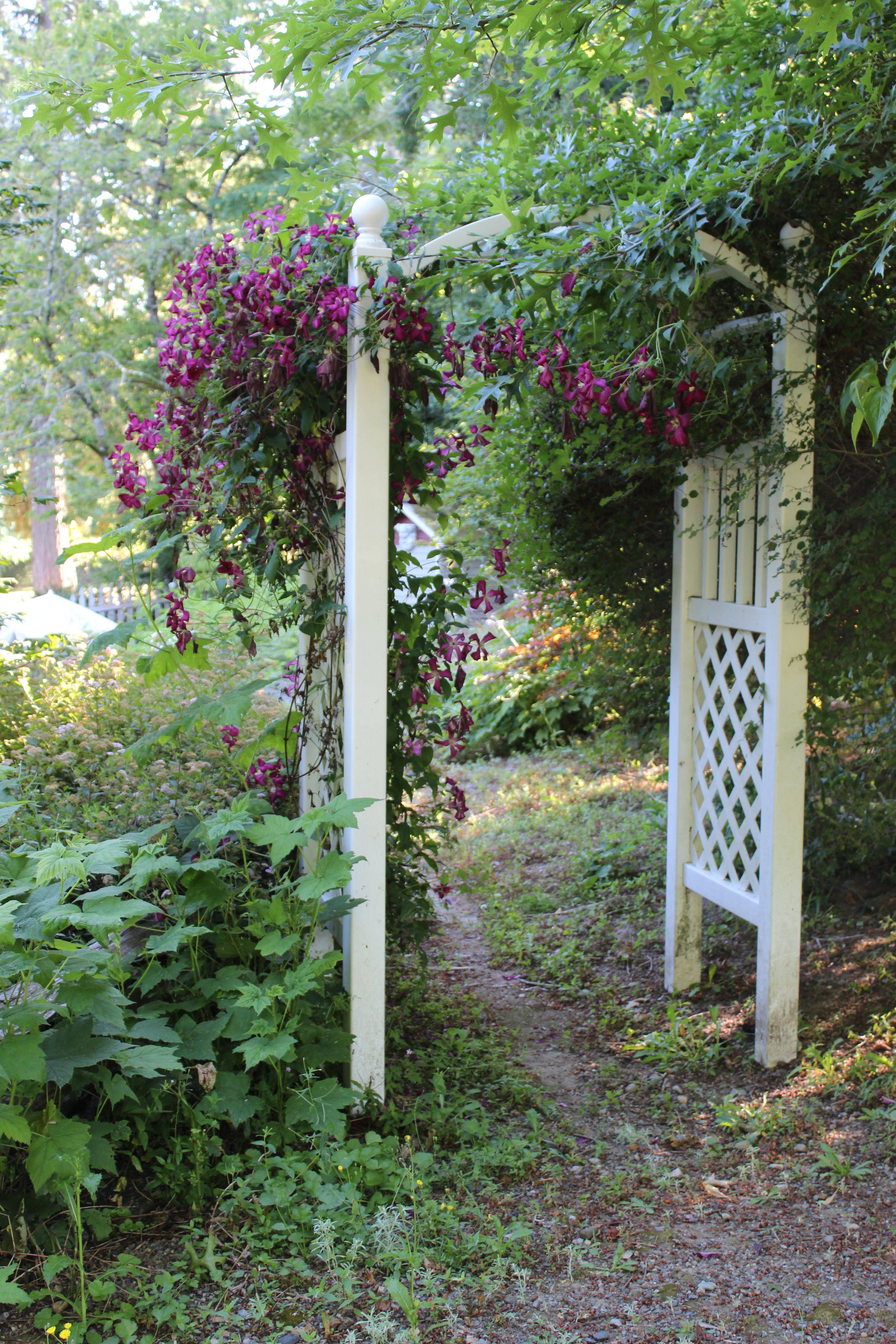 Garden Arch Half Lattice Harrod Horticultural