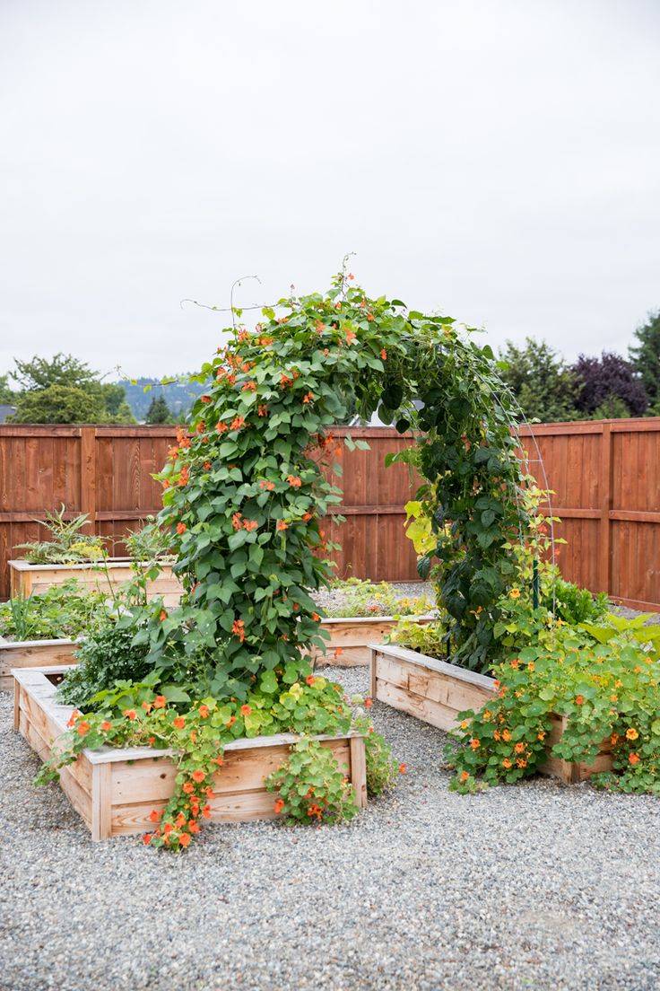 A Classic Cottage Garden