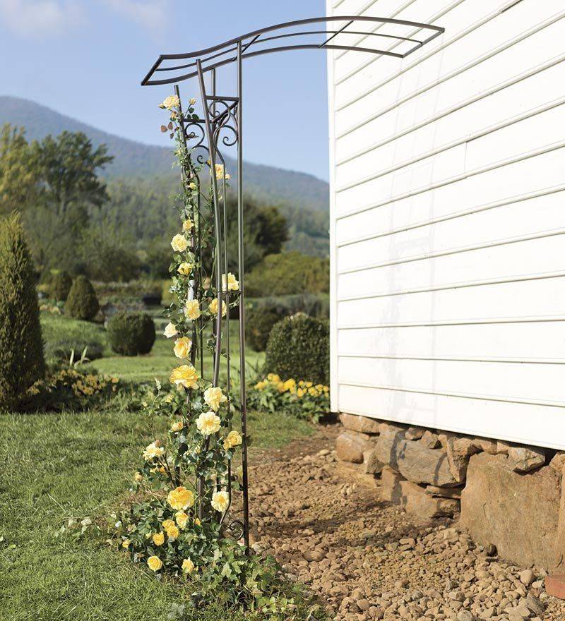 Garden Arch Inspiration