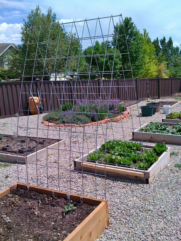 Brilliant Diy Pea Trellis Ideas