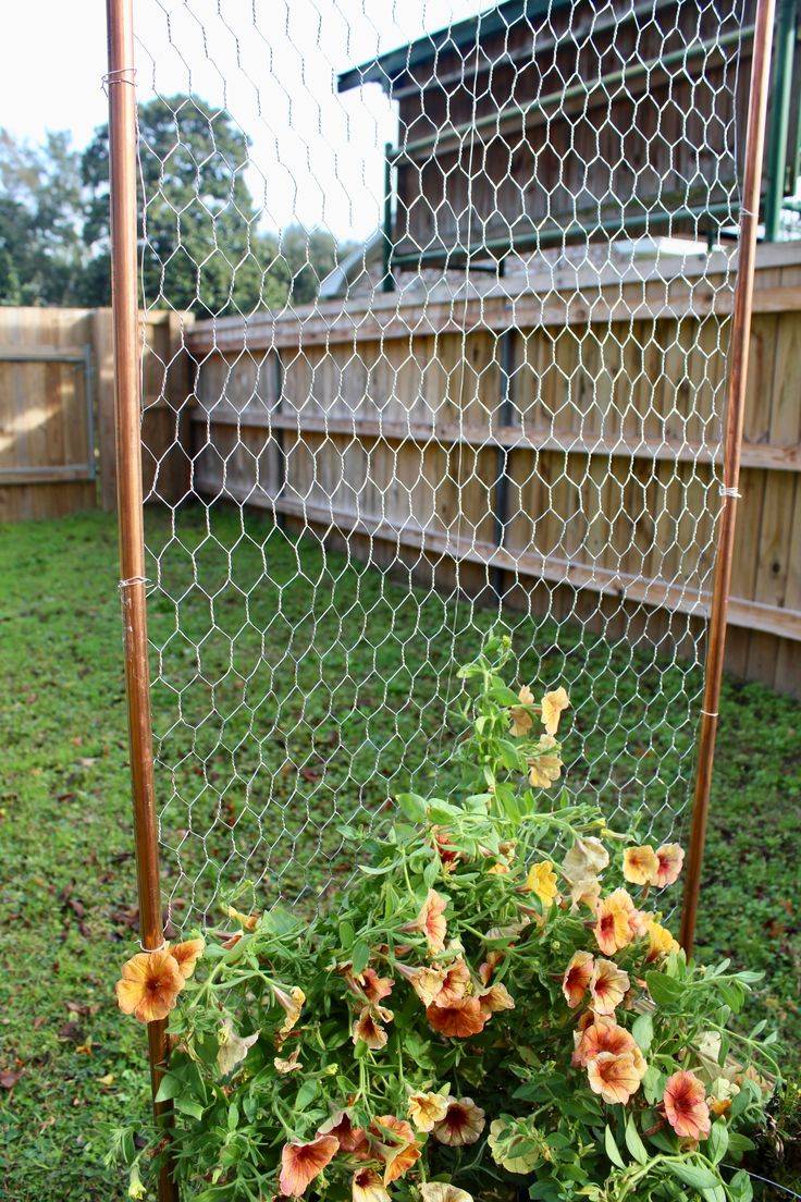 A Squash Arch Pvc Paint