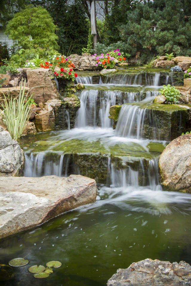 Amazing Small Pond Ideas