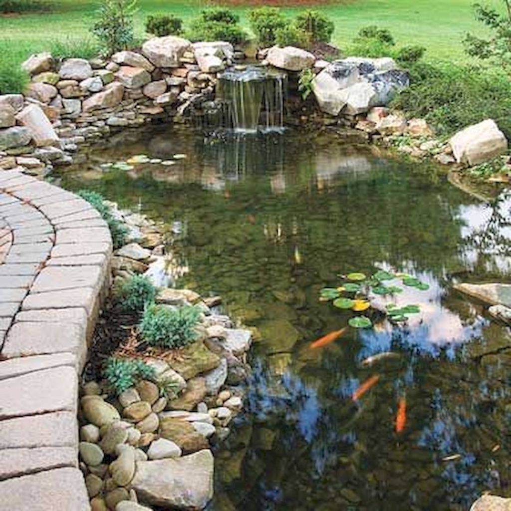 Your Landscape