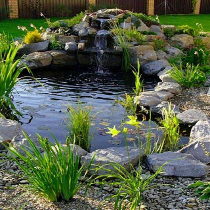 Garden Fish