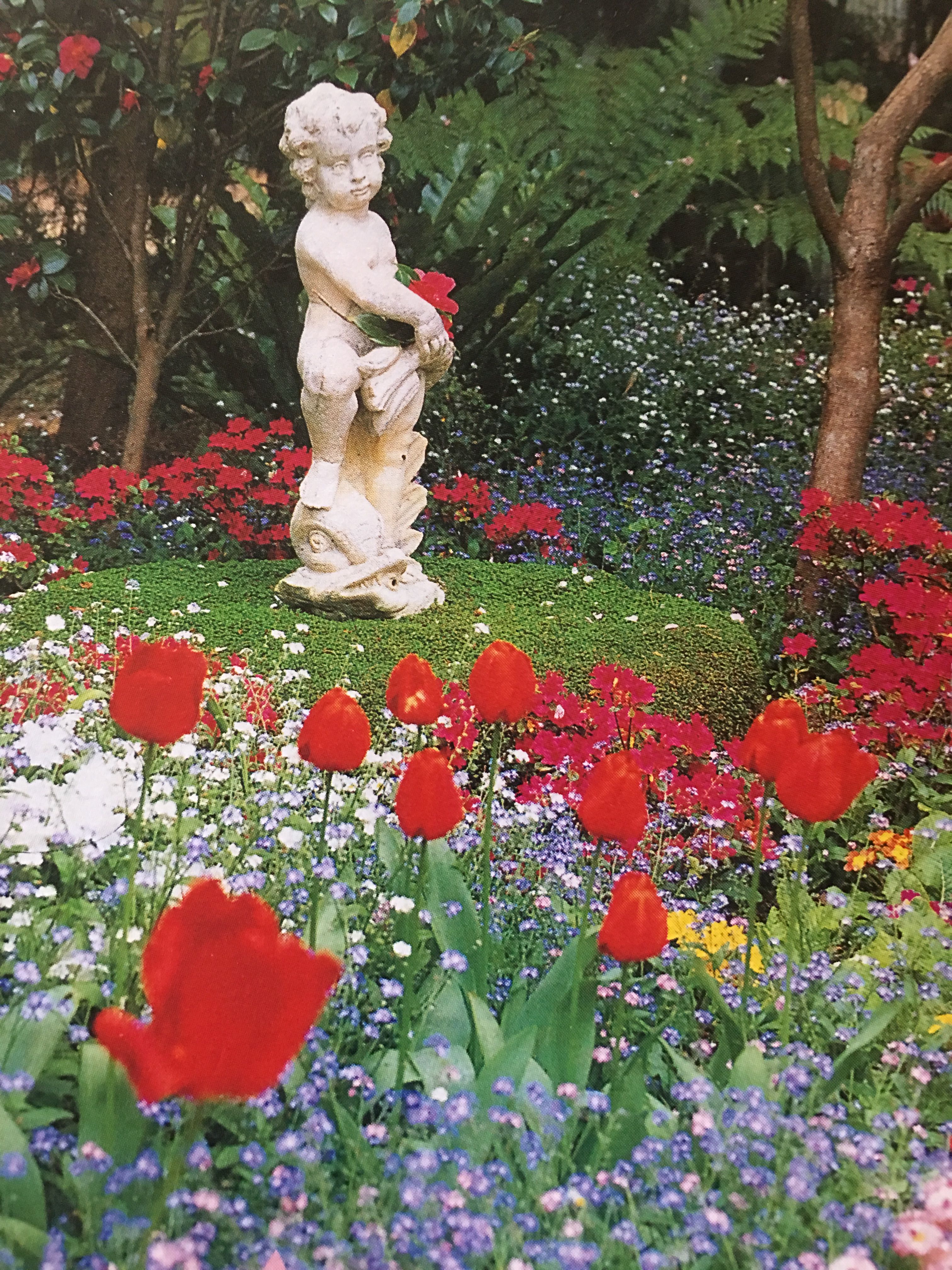 Cutie Garden Garden Decor