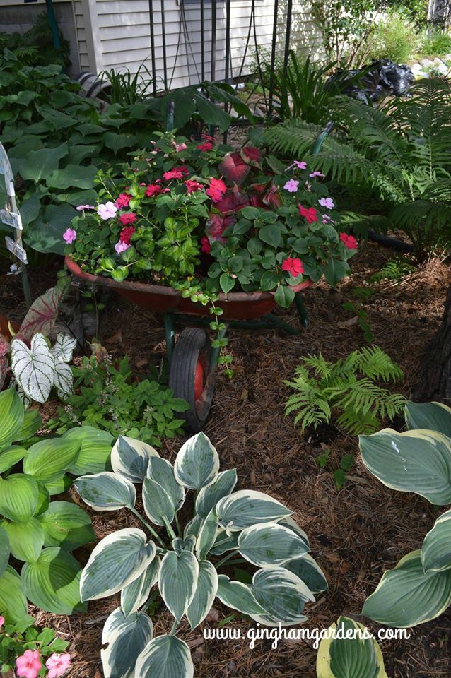 Mini Cutie Garden Pot Planter