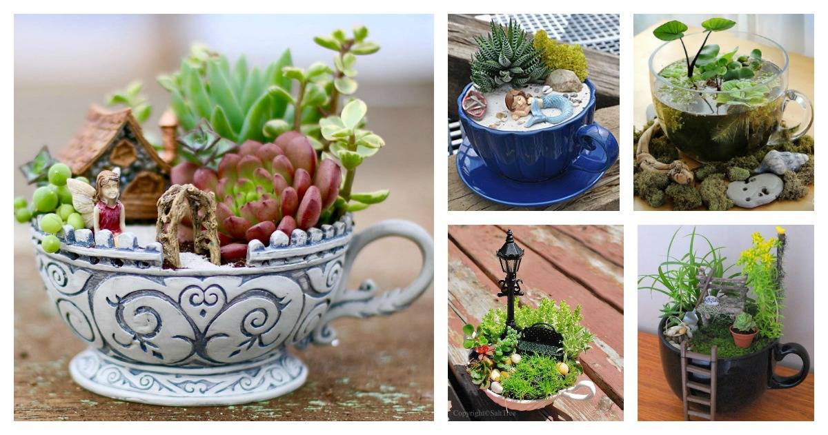 Susies Garden Finegardening
