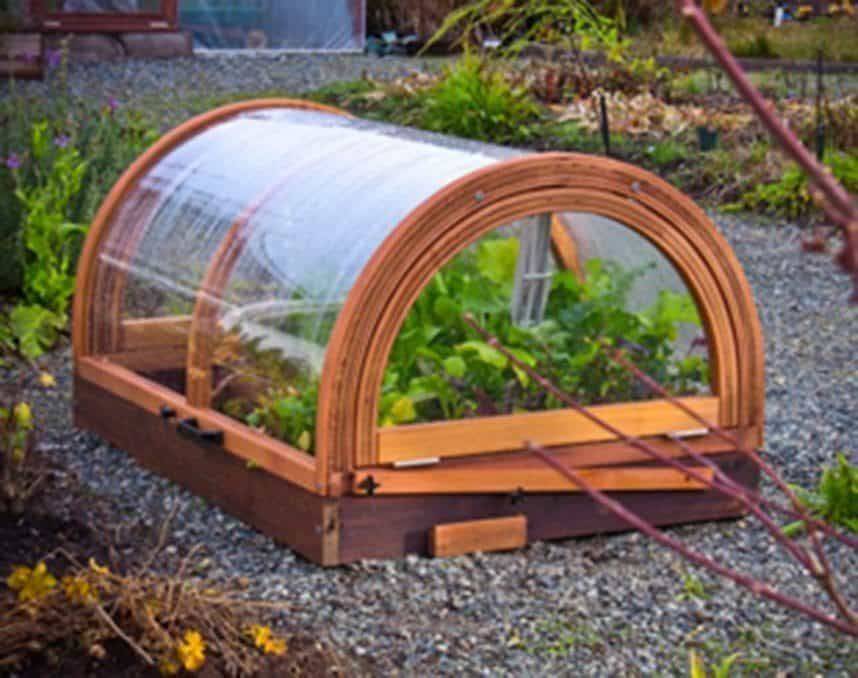 Inch Lotus Planterlg