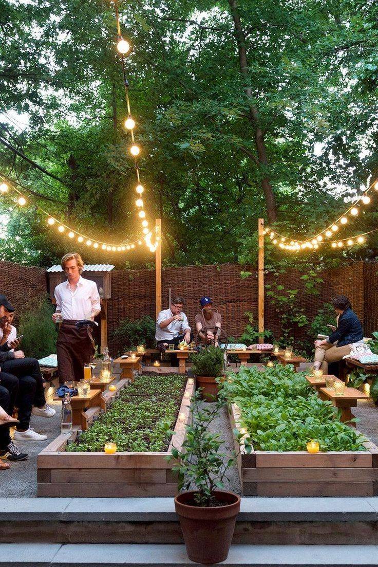 Cute Garden Tips And Tricks