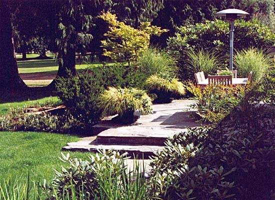 Lobo Clubhouse Residence Driveway Landscaping