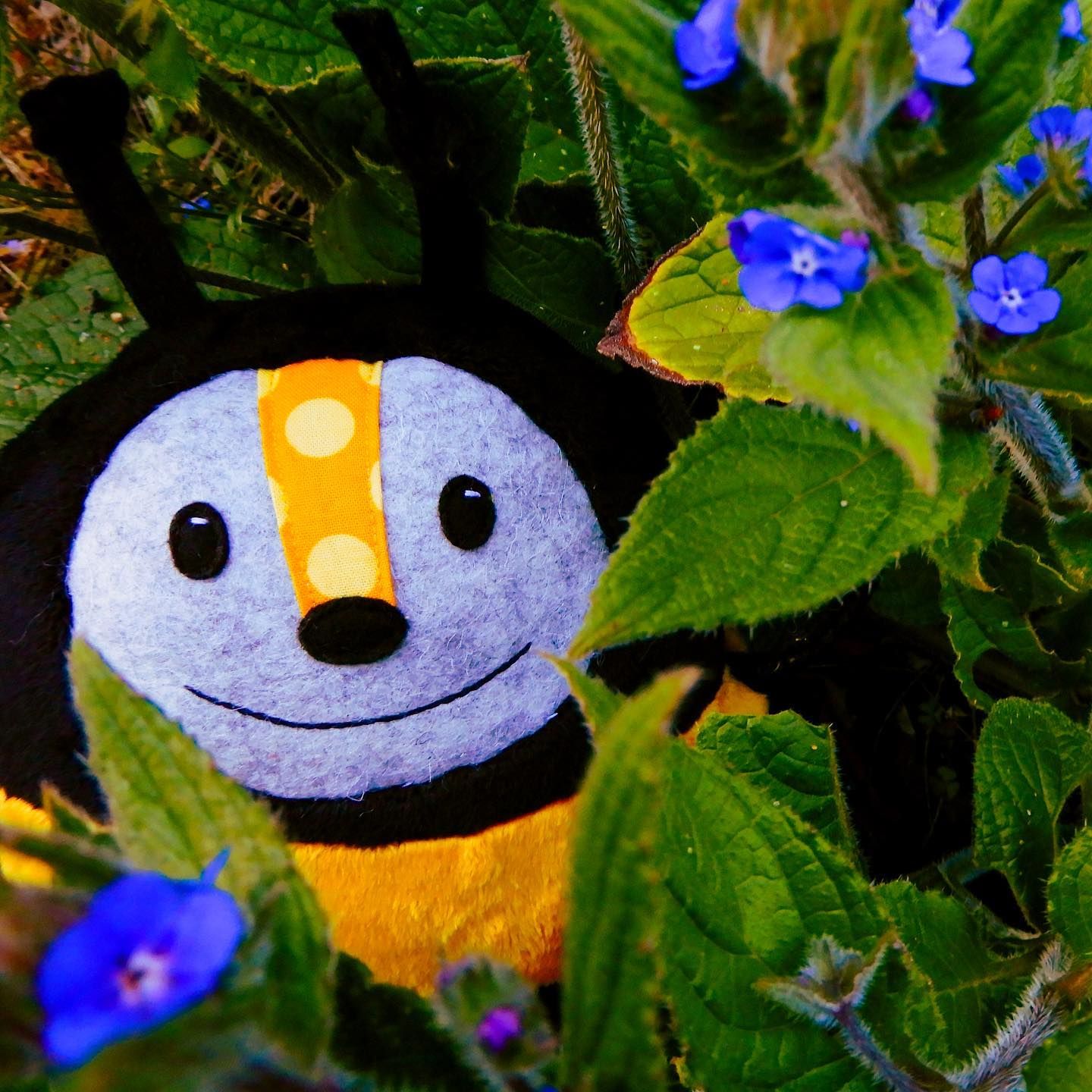 Cute And Simple School Garden Design Ideas