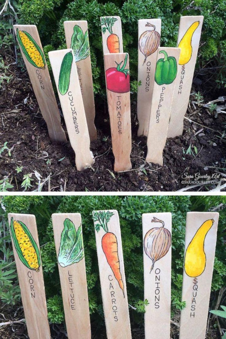Cute And Simple School Garden Design Ideas