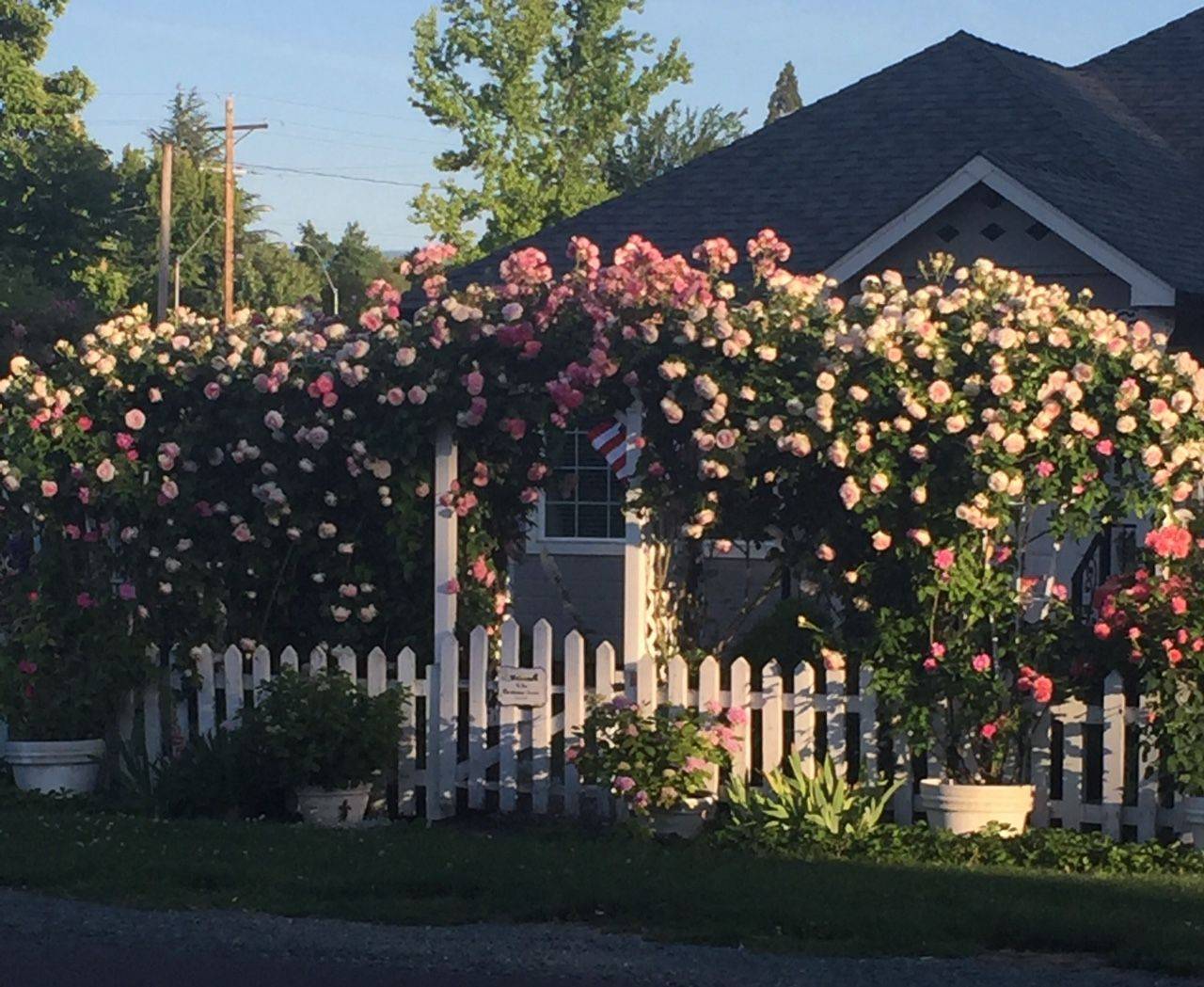 Cute Garden Tips And Tricks