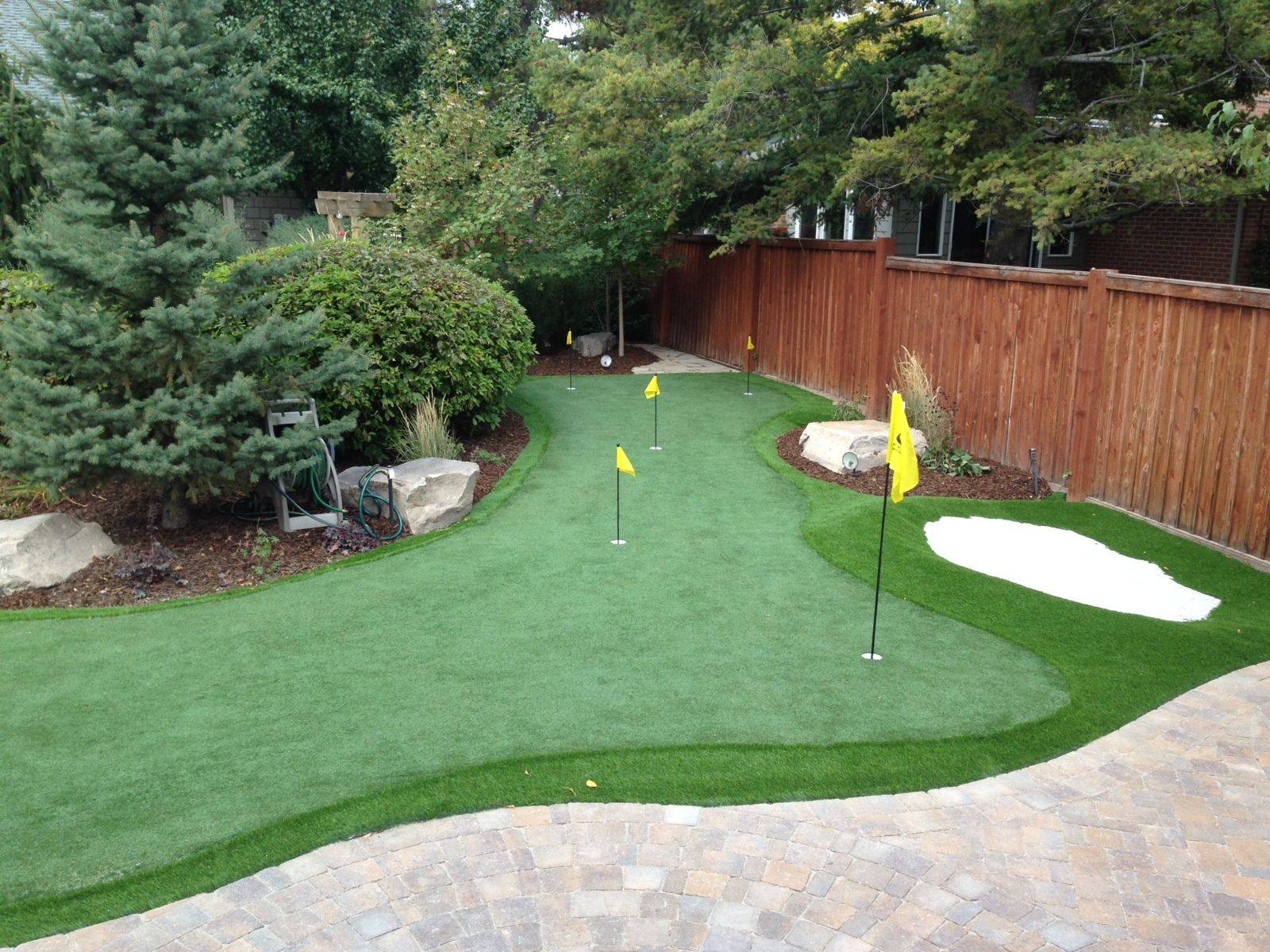 Your Backyard