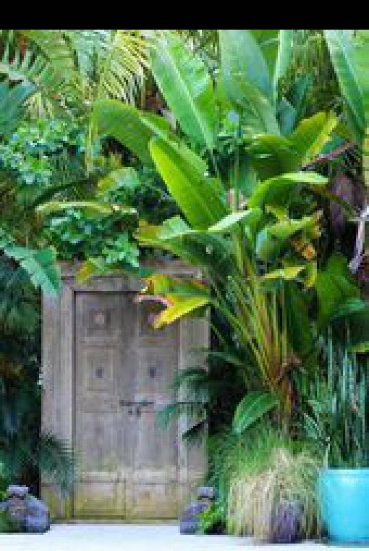 Tropical Backyard Craig Reynolds
